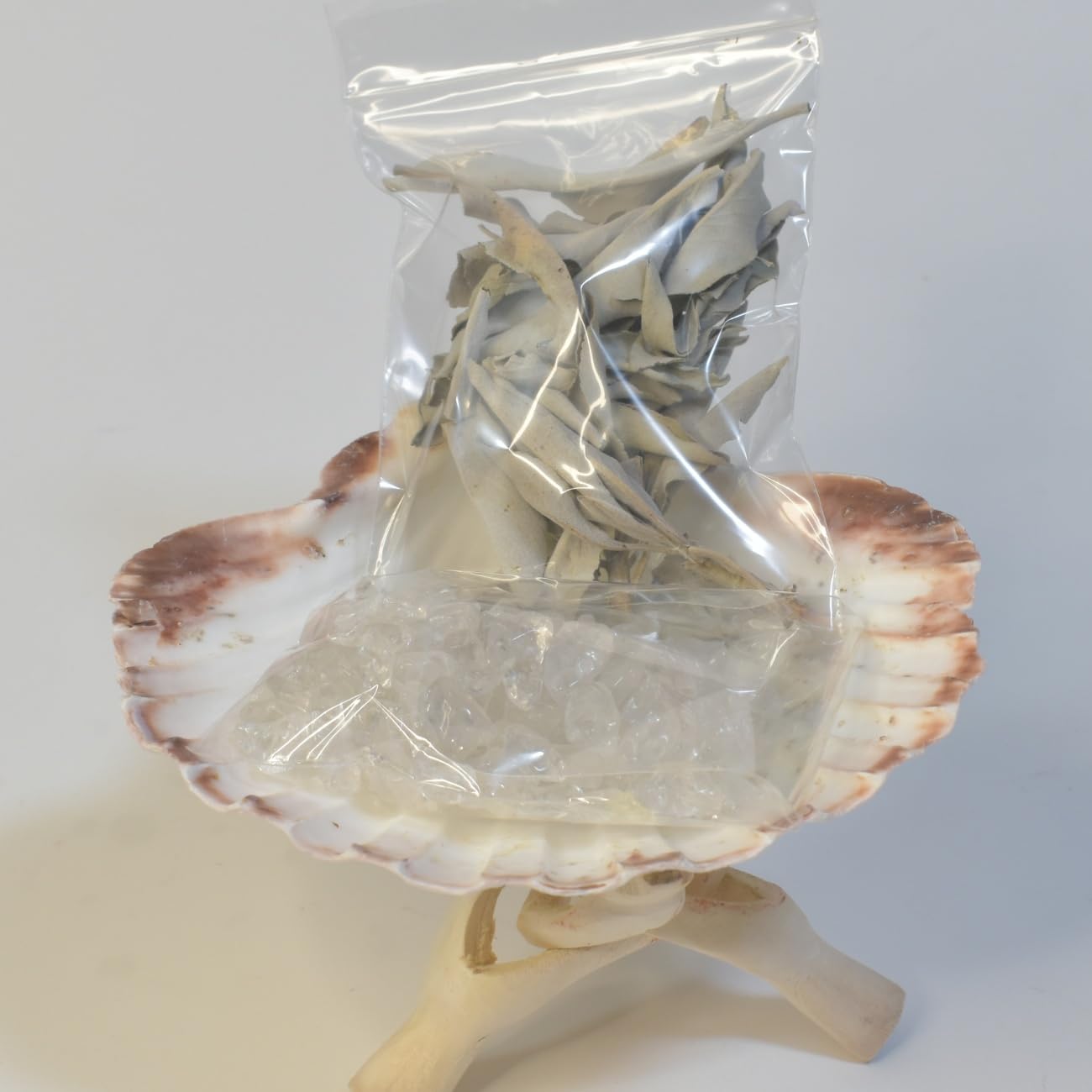 

Sedona Magic Lion Pow Shell Purification Purifying Power Stones and Cobra White Set, Smudging, Accessories, Stand,