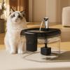 USB Powered Auto Filter Fountain 1.5L Capacity Pet Water Feeder  Multi-Pet Household