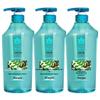 Fenghua Erfrischendes Anti-Schuppen-Shampoo