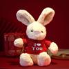 2023 Year of the Rabbit Red Plush Toy - Rabbit Mascot Doll & Gift