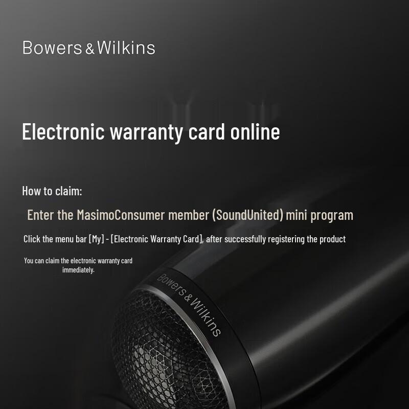Bowers & Wilkins Formation Wedge Wireless HIFI Speaker