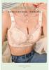 [Big Chest Display Small Artifact] Color blocked Lace Double Breastfed Bra Concentrated Collection Style Gray Butterfly