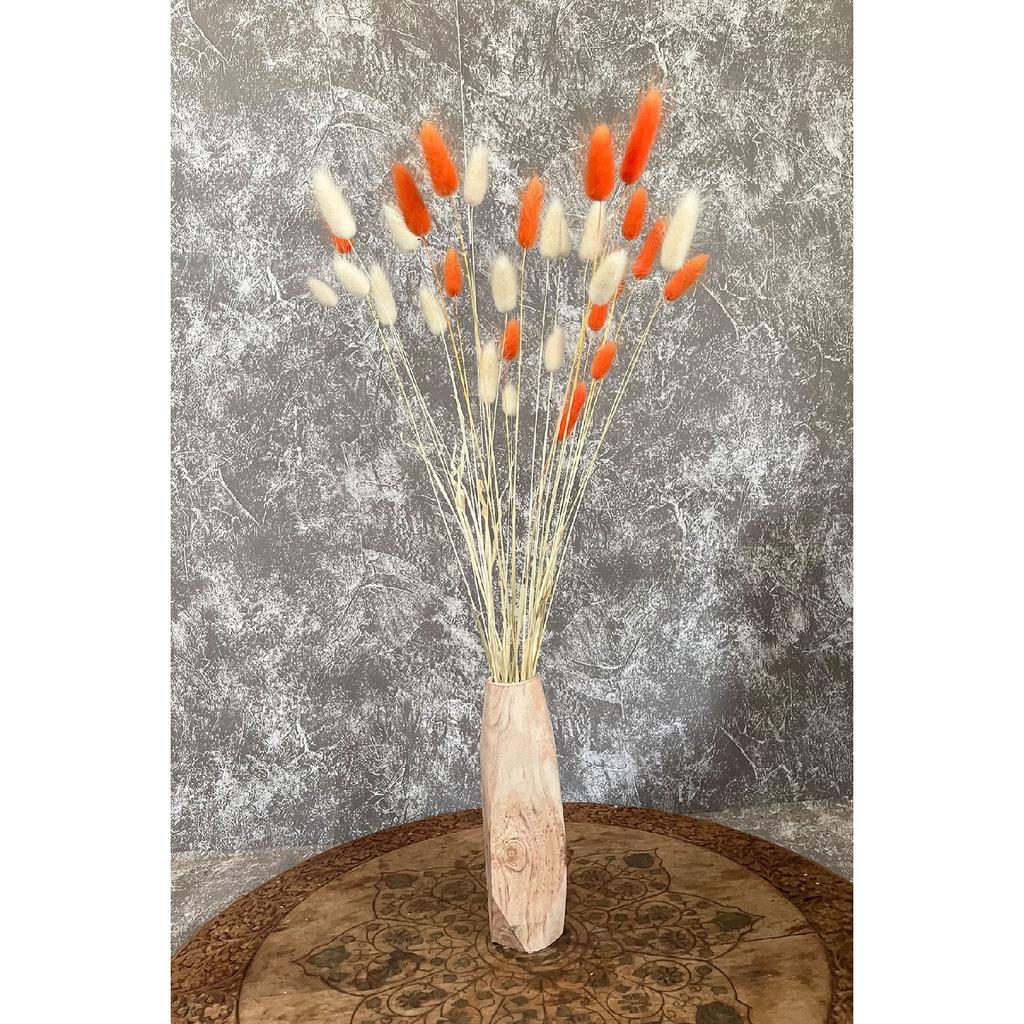 Orange natürliches getrocknetes Baumwollgras, Hasenschwanz Brautstrauß Arrangement Blume Lagurus 30 Zweige