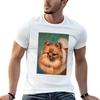 Peaches And Cream Tshirt Standard Fit Solid Tee Shirt