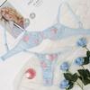 New September European & American Sexy Mesh Transparent Printed Lingerie Set - Two-Piece