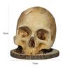 Simulated Skeleton Knife Stand Dilapidated Fruit Storage Rack Skull Knife Holder  Gift