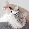[Groomy Genuine] Cat Massage Brush Comb Pet Hair Care Toy