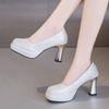 2026 Heels Women Pumps Shoes Platform Wedding Office Party Shoes Woman Sexy High Heels Wedding Shoes Ladies