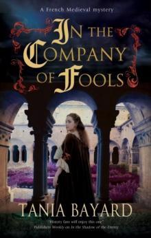 In the Company of Fools by Tania Bayard Hardback Book 9780727889416