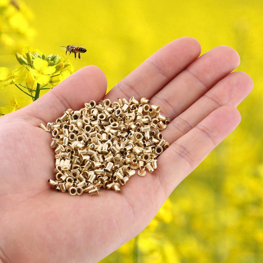 700 Stück Bienenstock Nestkasten Rahmenende Gewindeloch Ösen Imkereiwerkzeuge
