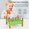 Simulation Toddler Hammer Nails Toys Montessori Nail Screw Games  Preschool Kids Boys