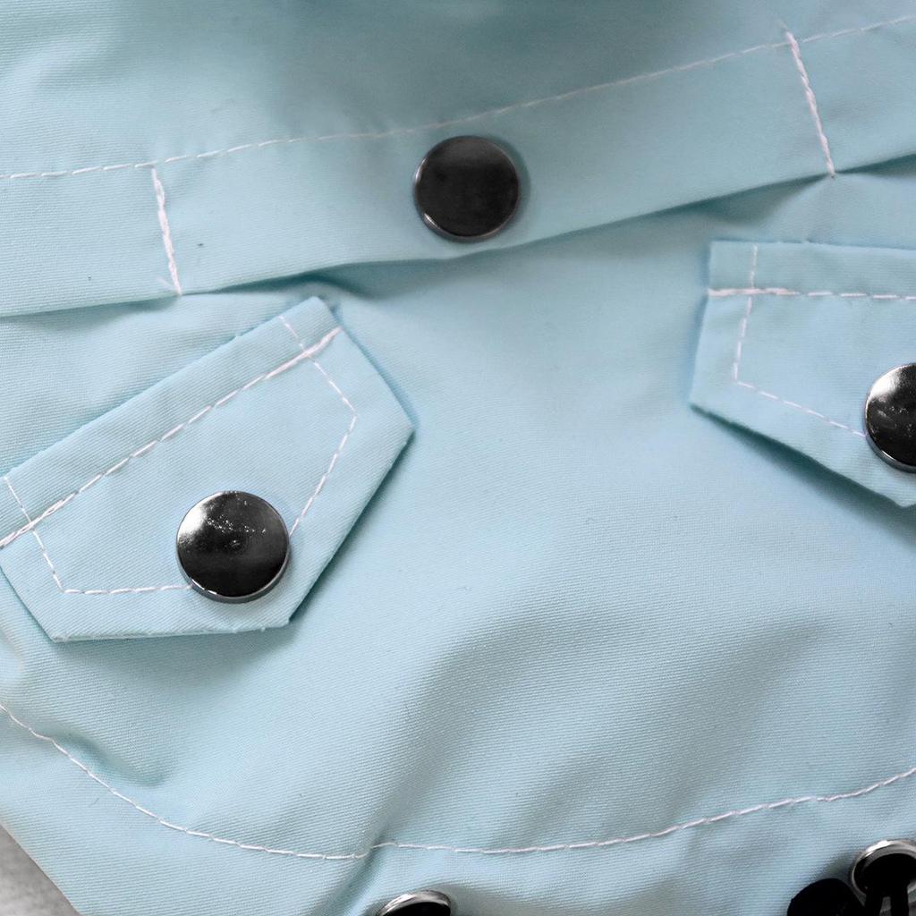 Spring/Summer Transparent Waterproof Raincoat for Small to Medium Dogs, Rainbow Design - Ideal for Teddy & Bichon Frise