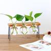 Vintage Bonsai Flower Pot Hydroponic Plant Vases Glass Vase Terrarium Tabletop Tray Wooden Frame Home Decor