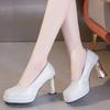 2026 Heels Women Pumps Shoes Platform Wedding Office Party Shoes Woman Sexy High Heels Wedding Shoes Ladies