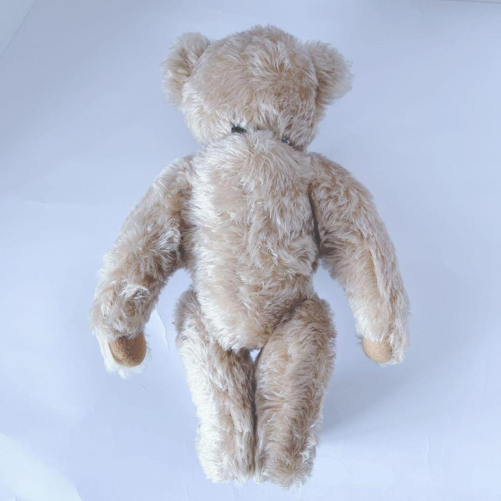 [USED] Foreign Artist Teddy Bear