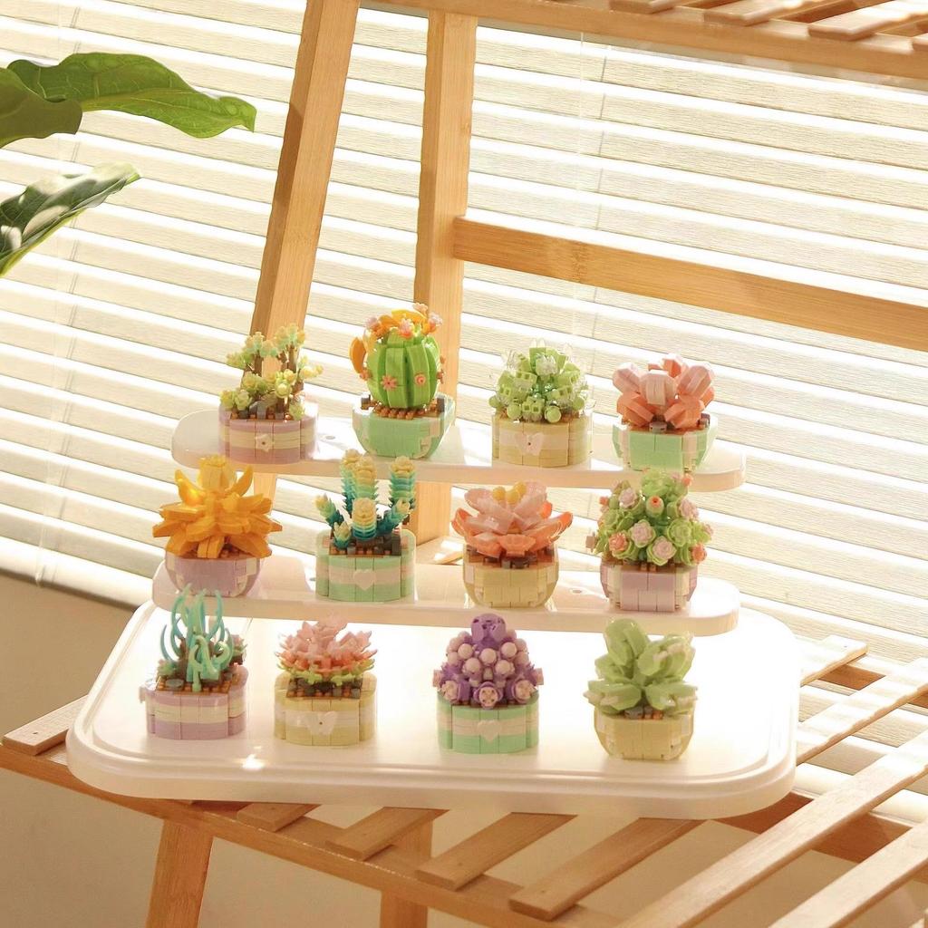 Lego-Compatible Flower Pot Planter: Succulent & Ornament Holder Gift for Teachers & Girls