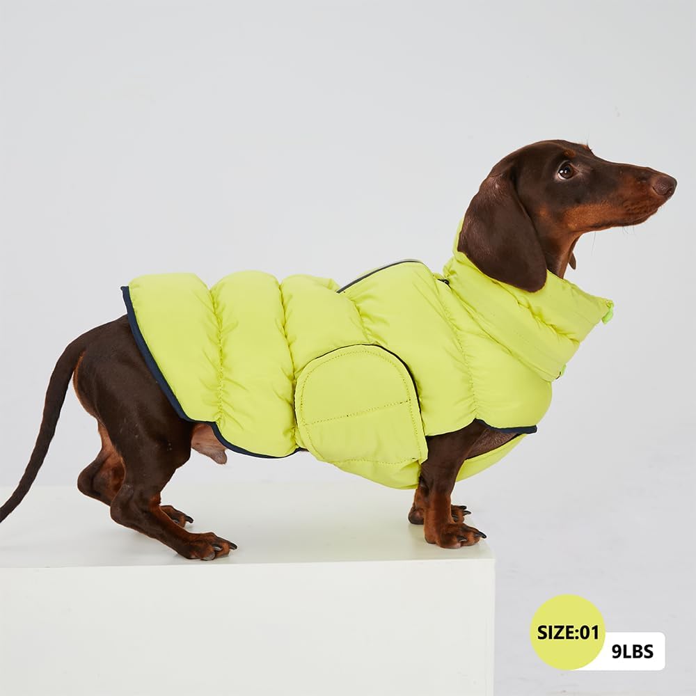 Dog Winter Puffer Jacket, Warm Padded Sleeveless Coat for Small Medium Dogs, Waterproof Winter Jacket, Turtleneck Cold Weather Dogs Jacket (Size 2