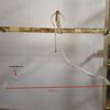 Transparent Acrylic Children's Clothes Hanger with Customizable Logo Option