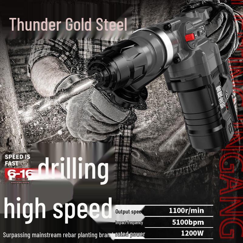 Leiting Jingang Dual-Function Electric Hammer and Pick CN plug (adapter included)