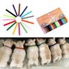 15PCS Puppy Newborn Pets Identify Collars Adjustable Nylon Small Dog Collars Kitten Necklace Whelping Puppy Collars Pet Supplies