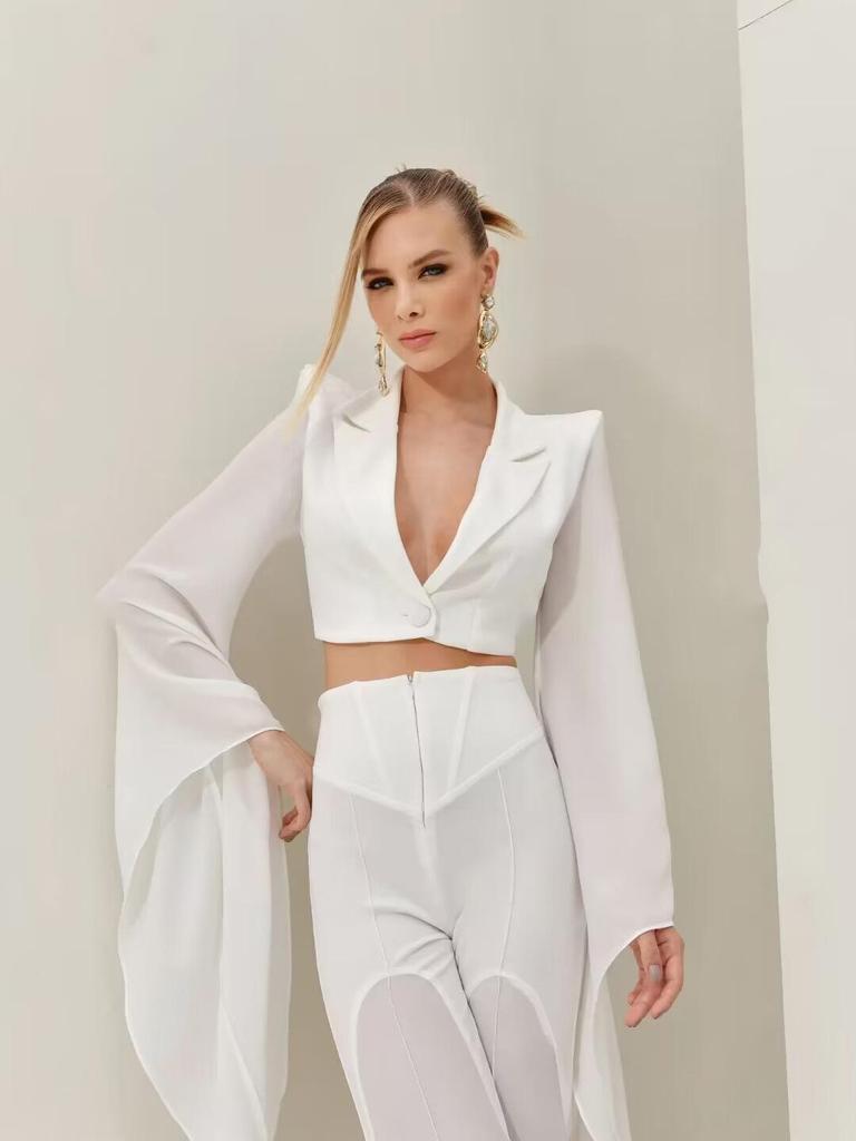 Women's Sheer Wide-Leg Blazer Set