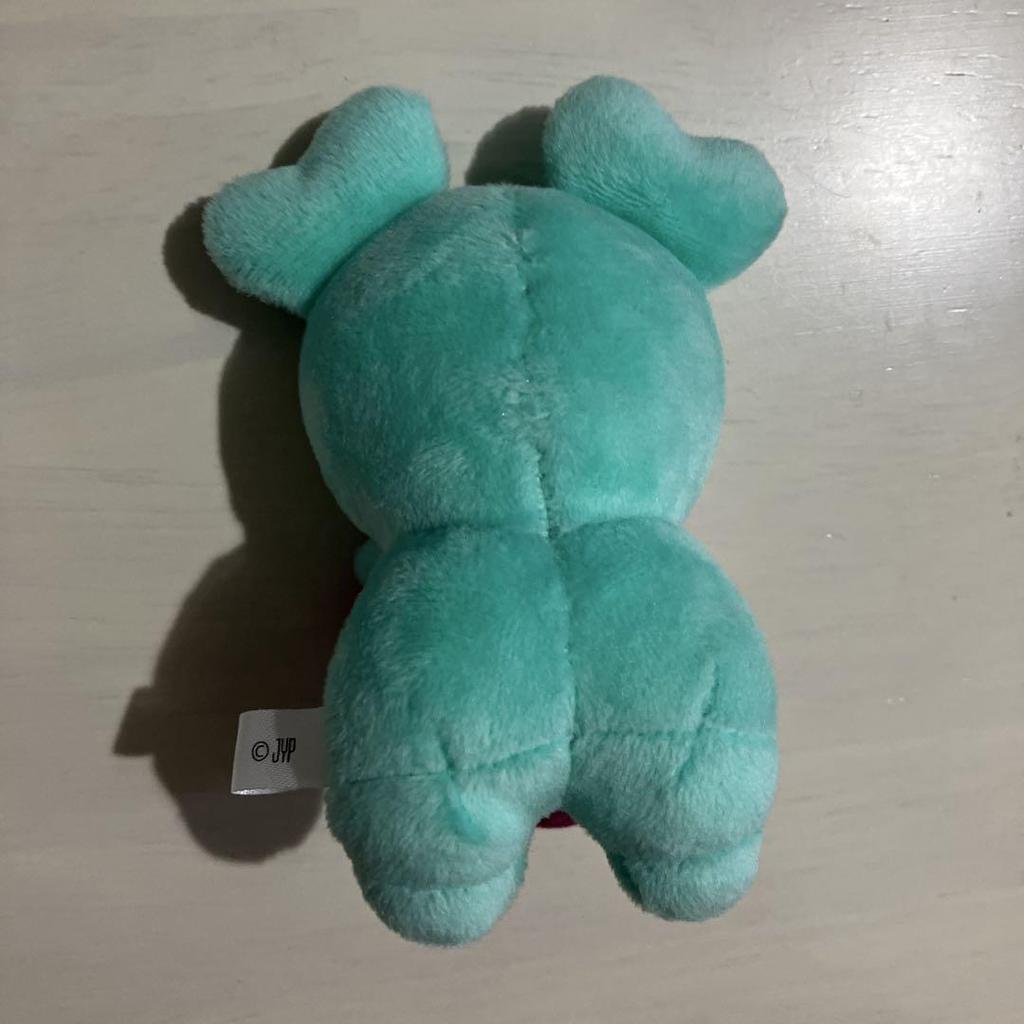 [USED] TWICE Hook Charm