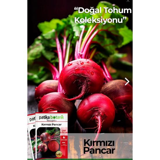 

150 Pieces Heirloom Seed Local Red Beetroot