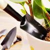 Multifunctional Digging Weeding Bonsai Tools For Flower Pots Small Rake Shovel Garden Shovel Spade