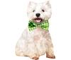 50/100pcs ST Patrick's Day Dog Bows Removable Dog Collar Pet Dog Green Bow Tie Dog  Accessories Pet Supplies Small Dog Bowties