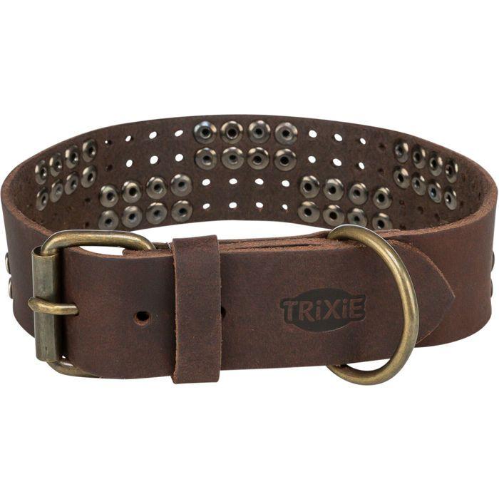 Collier Pour Chien - TRIXIE - Marron - Cuir Rustique - Taille M - Rivets Décoratifs