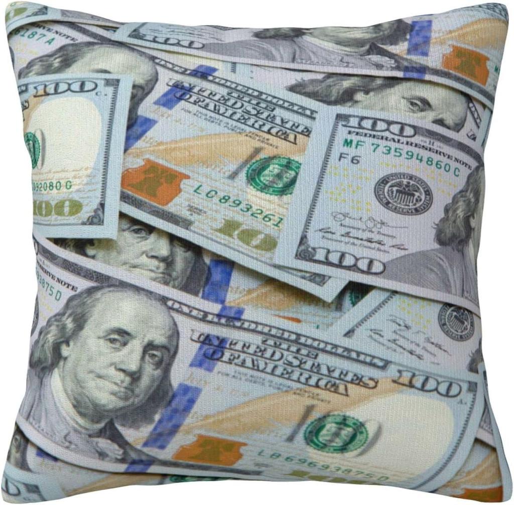 Dollar Bill Throw Pillow Case Decorative Throw Pillows Square Cushion Cover for Sofa Bed Car Chair Living Room 18x18 Inch