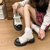 Versatile Japanese Platform British Single Shoes Women's Spring and Summer 2025 New Small Jk Height-increasing Color-matching Small Leather Shoes