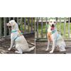 Reflective Dog Harness and Leash Set