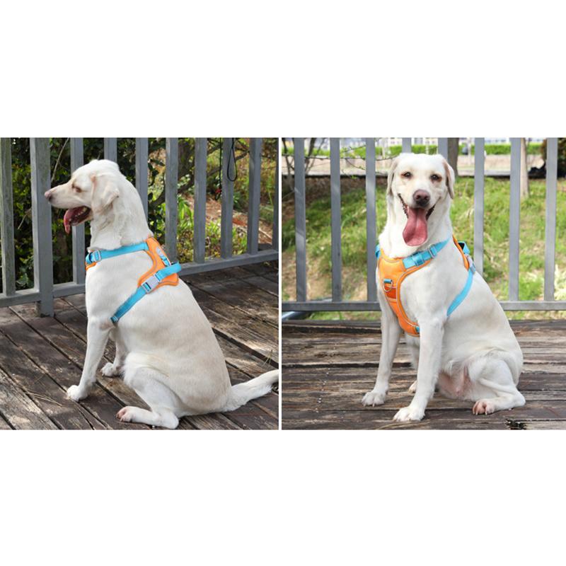 Reflective Dog Harness and Leash Set