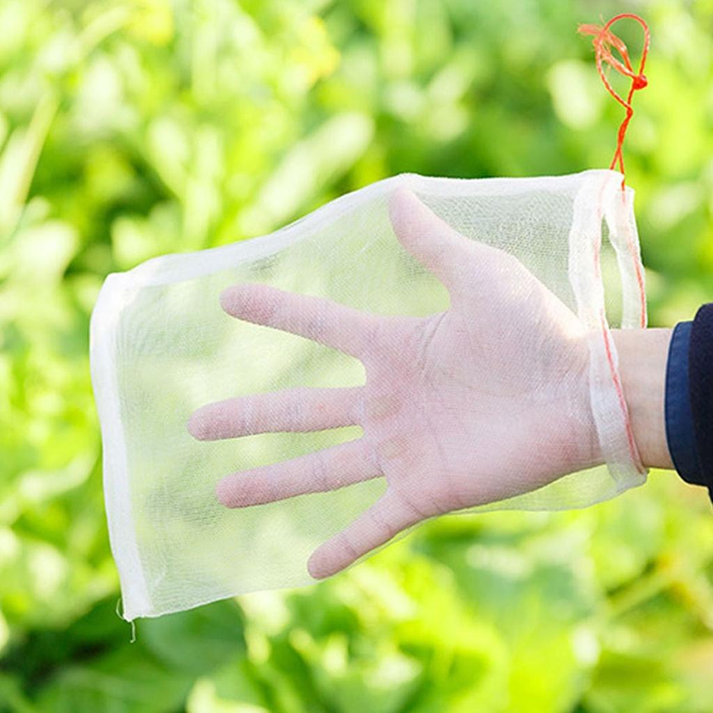 Fruchtschutznetzbeutel Gartenpflanze Insektenschutz Fliegenvogel Affenhörnchen Landwirtschaftlicher Obstgarten Schädlingsbekämpfung Kordelzug Pflanzgefäß