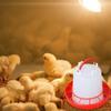 Poultry Feeders and Waterers Set for Small Poultry Brooder Coops Feeding Tool HX6C