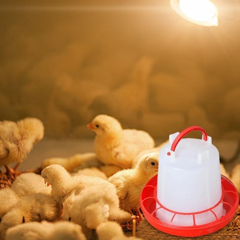 Poultry Feeders and Waterers Set for Small Poultry Brooder Coops Feeding Tool HX6C