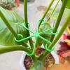 Plant Stem Support Reusable Plants Support Clips Garden Plants Accessories Flower Branches Stem Organizer Stand Fixing Clamp