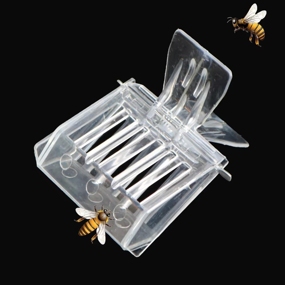 5/1Pcs Beekeeping Queen Bee Cages Bee Catcher Clear Clip Cage Equipment Tool Beekeeper Equip