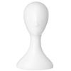1 Pcs Female Model Head Abstract Plastic Head Model Women's Hat Wig Scarf Accessories Display Female Head Model Props