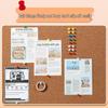 400 Colored Thumb Tacks - Push Pins for Cork, Message, and Photo Boards