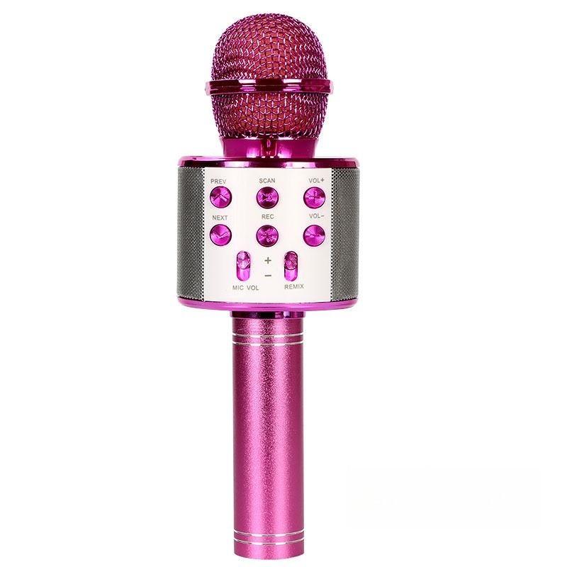Kids Karaoke Microphone for Girl Toys,Christmas Birthday Gifts Ideas for 3 4 5 6 7 8 9 10 Year Old Girls