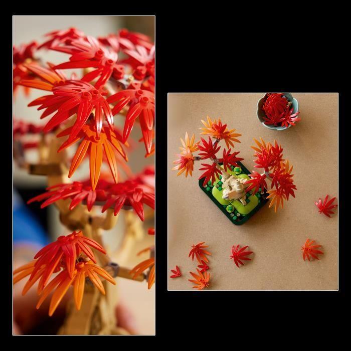 LEGO Botanicals 10348 Bonsaï d’Érable Rouge du Japon - Kit de Construction pour Adulte