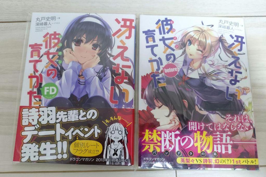 [USED] Unread Saenai Heroine no Sodatekata Complete Set 10th Anniversary Storage Box with Bonus Booklet