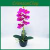 Artificial Phalaenopsis Aphrodite Rchb Potted Plant For Gift And Interior Decor
