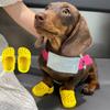 Vestuário e calçado – Sapatos para cães