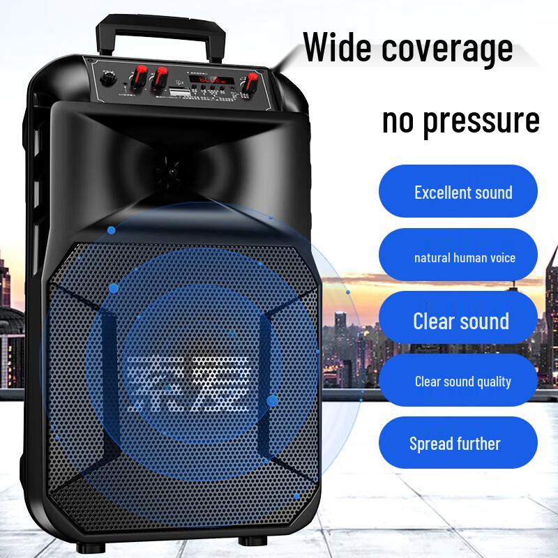 SA-T25 Portable High-Power Outdoor KTV Speaker