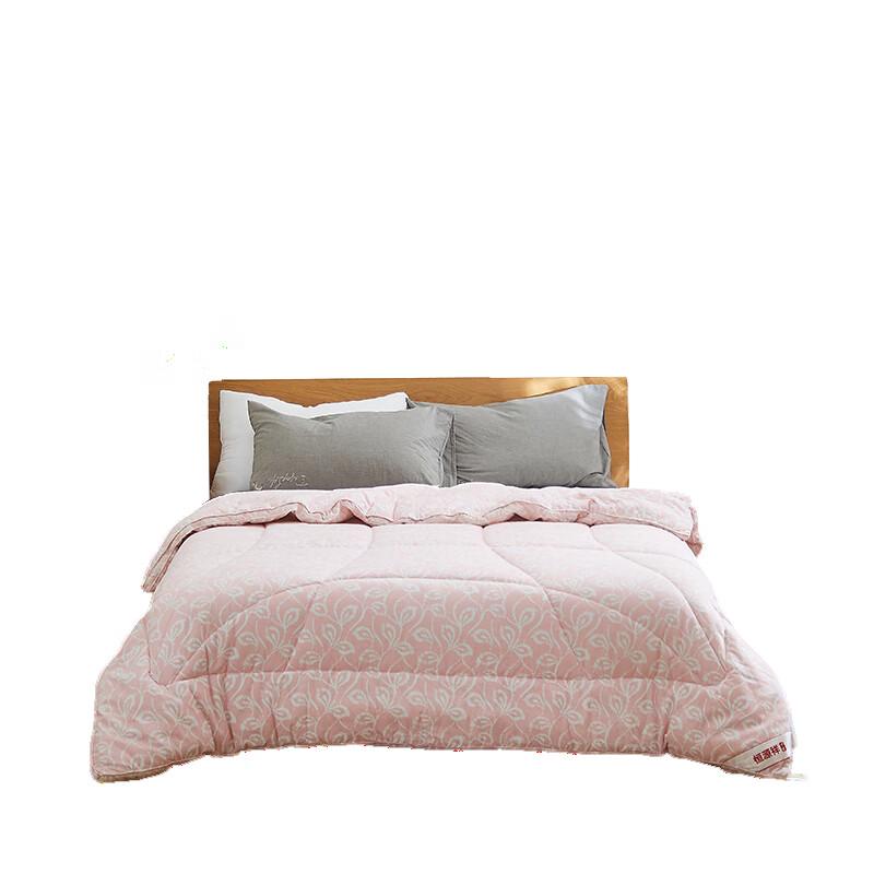 

Hengyuanxiang All-Season Cotton Flannel Negative Ion Quilt