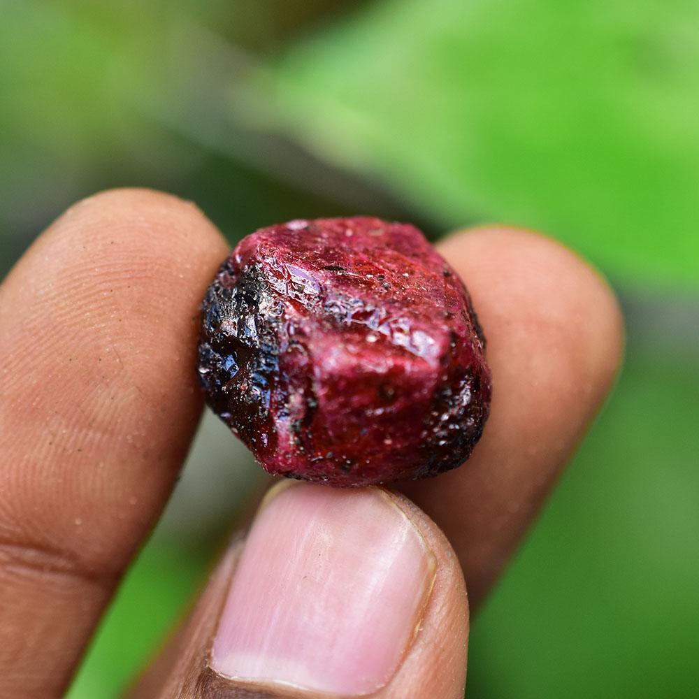 Natural Red Ruby Loose Gemstone Burmese 47 ct Uncut Raw for Lapidary and Gem Collections