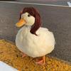 3 Pcs Porch Goose Braid Wig Outdoor Goose Statues Outfit Accessories